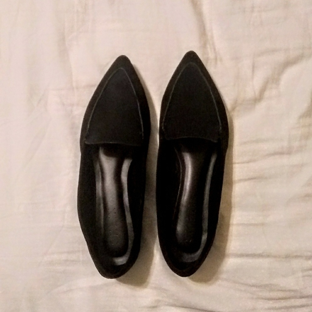 Pointed toe flats (NWOT)